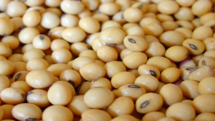 Imported soybean Federal govt approves release of 9 consignments-business news - business news pakistan - business news today - business newspaper - business newspaper pakistan - pakistan business news - latest business news pakistan - top business news pakistan - pakistan economy news - business news pakistan stock exchange - BizTalk - Top Business news from Pakistan -